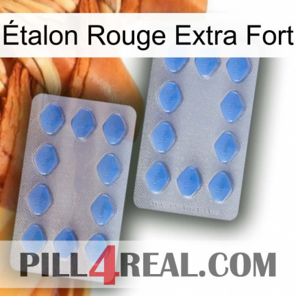 Étalon Rouge Extra Fort 20